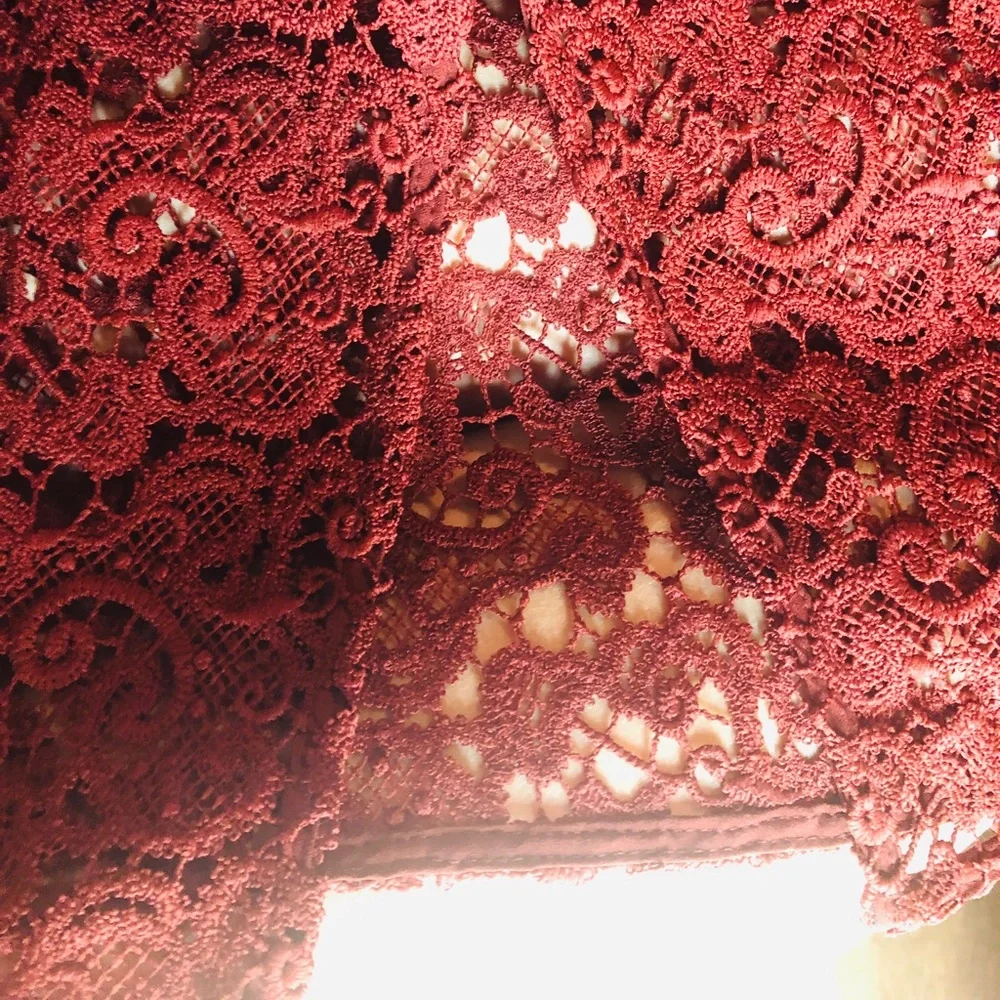 Zara Red Lace Midi Skirt - Picture 8 of 8